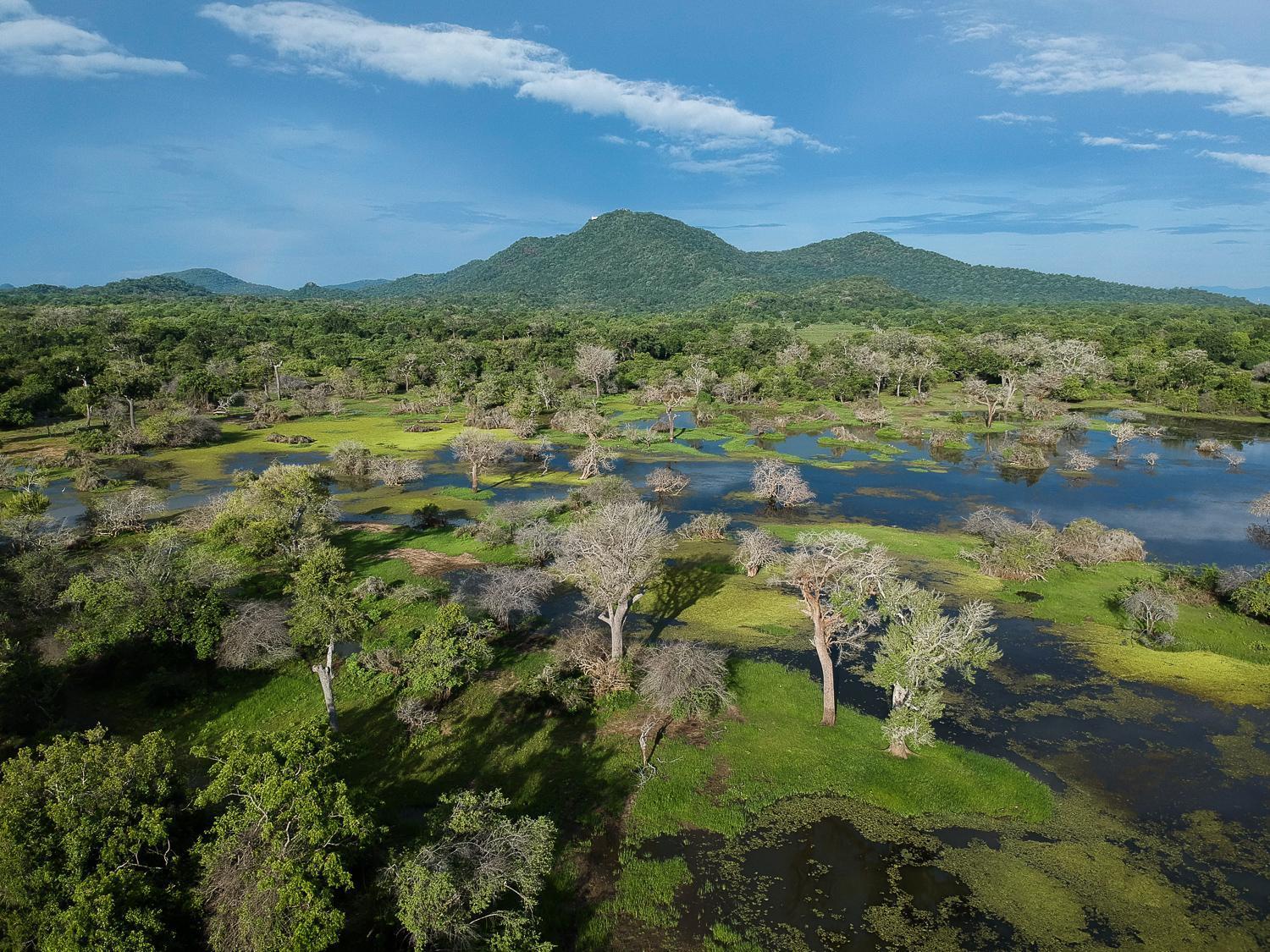 Kulu Safaris Hotel ยาลา ภายนอก รูปภาพ