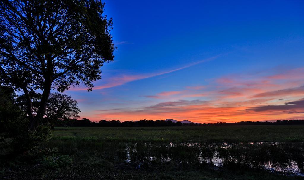 Kulu Safaris Hotel ยาลา ภายนอก รูปภาพ